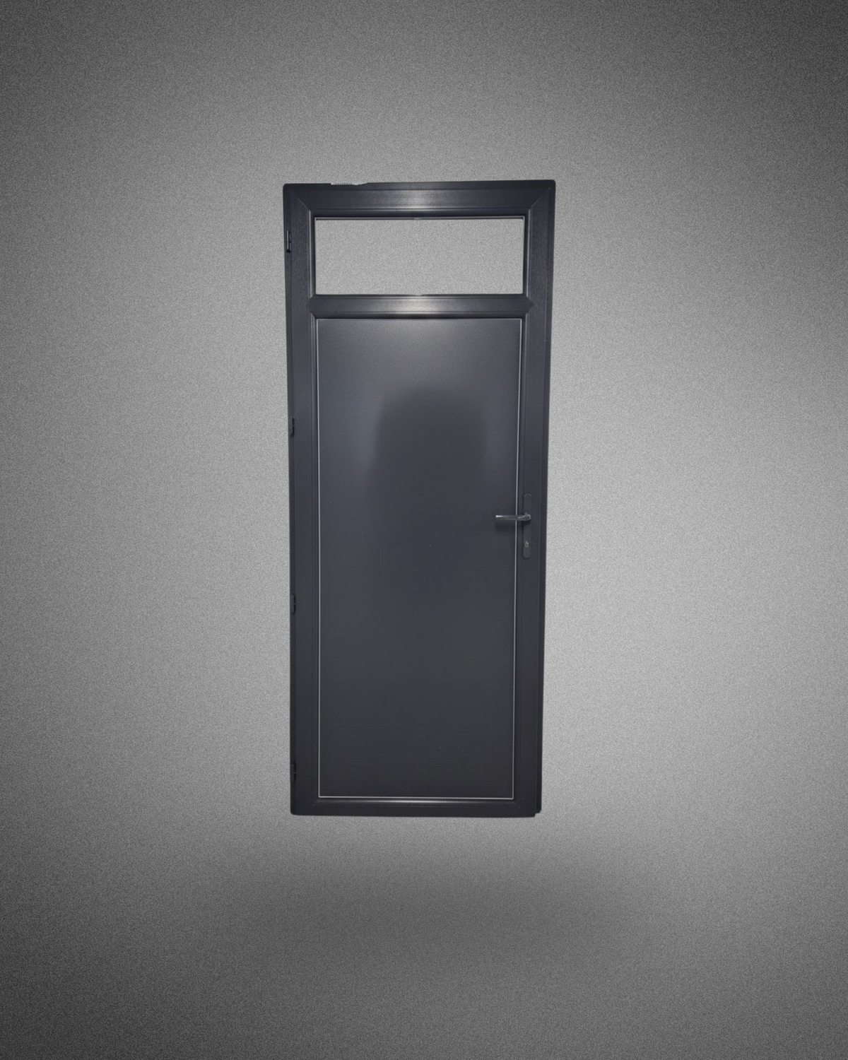 Porte de service – 2050×800 mm