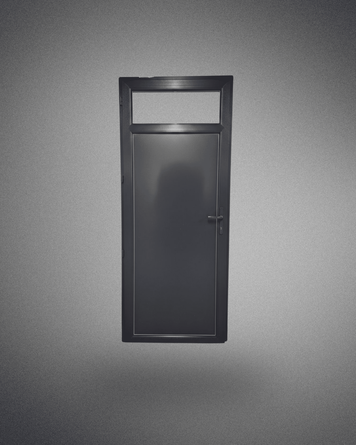 Porte de service – 2050×800 mm - PEM - Porte de service PVC